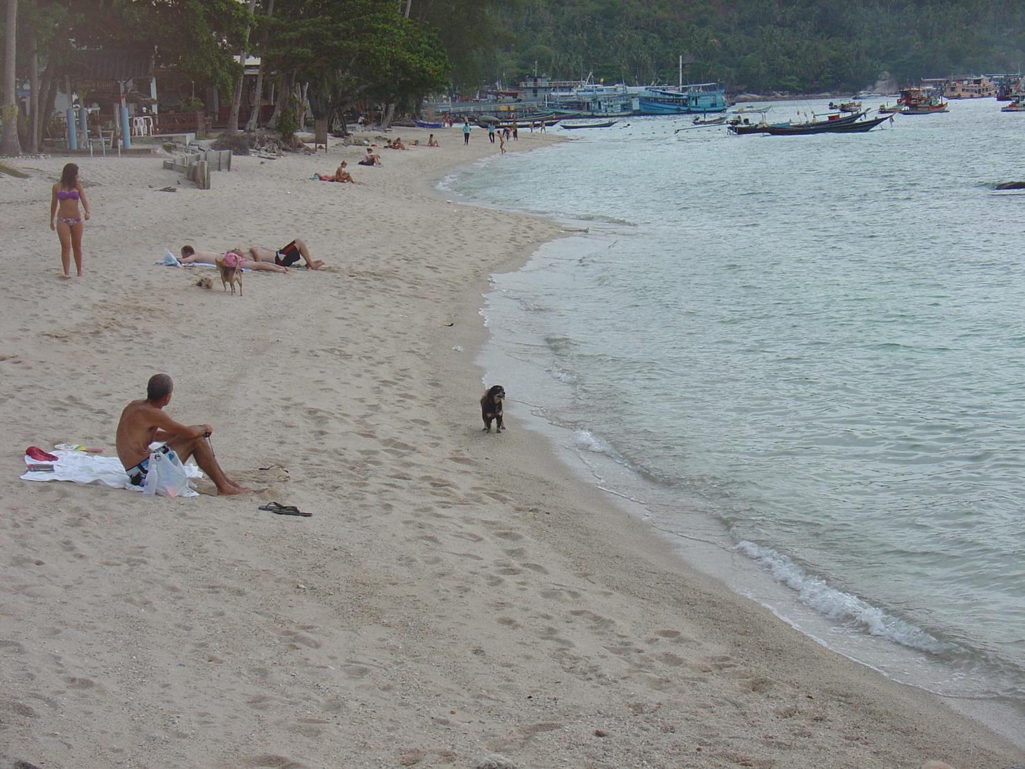 Queen Resort Koh Tao Exteriör bild