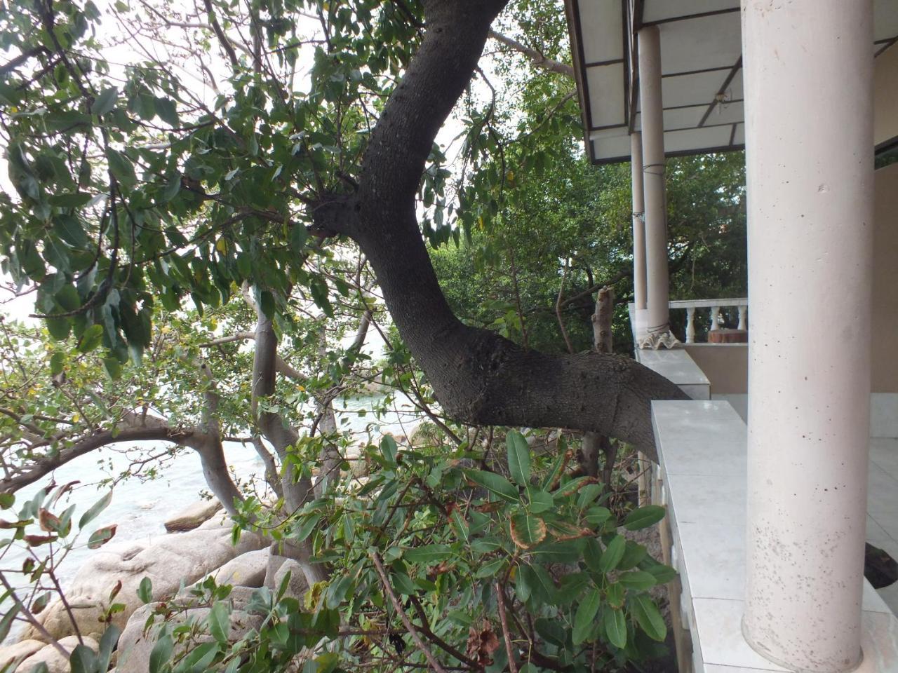 Queen Resort Koh Tao Exteriör bild